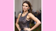 Kendall Jenner wearing a black mesh dress and having bleach brows, as she attends s The 2022 Met Gala Celebrating "In America: An Anthology of Fashion" at The Metropolitan Museum of Art on May 02, 2022 in New York City./ in a pink template
