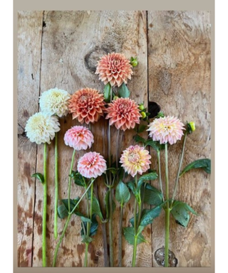 Joanna Gaines' floral arrangement