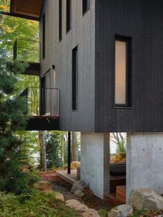 Balconies reach into the surrounding tree canopy