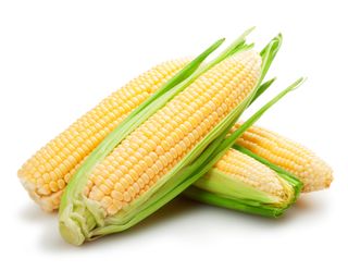 Ears of corn 