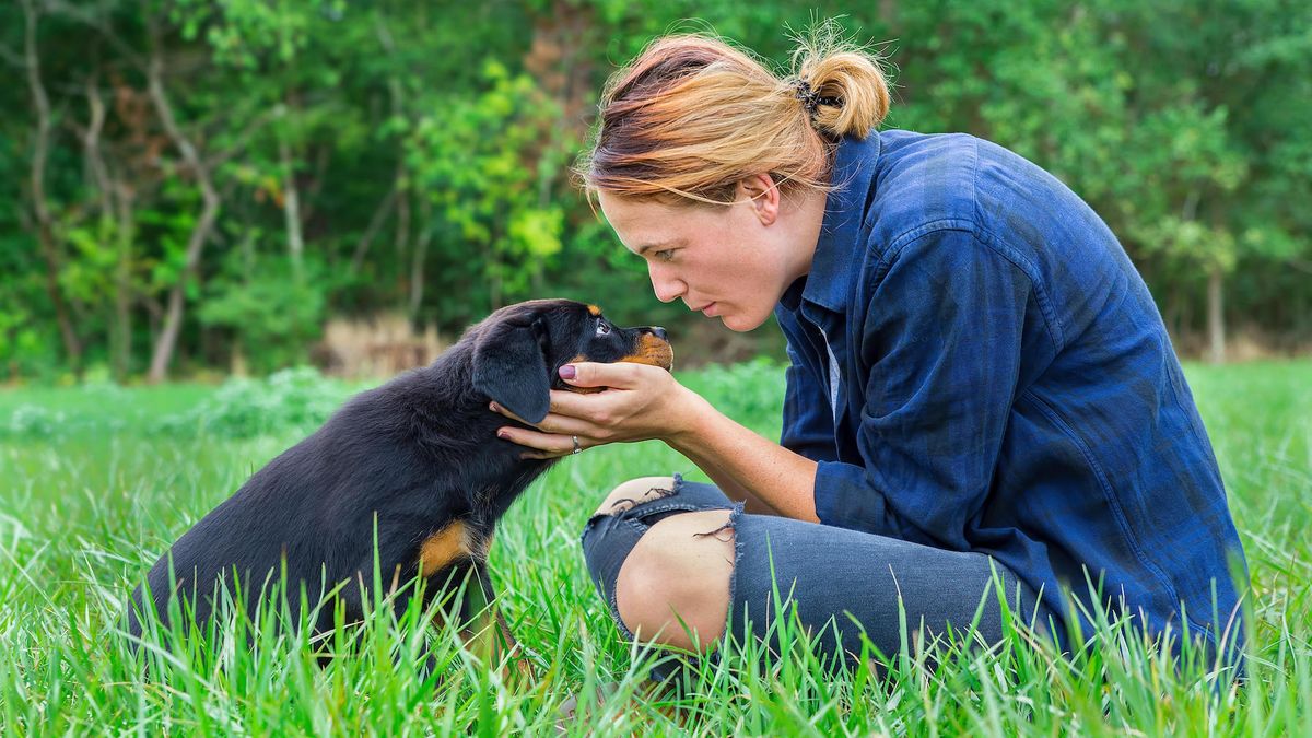 Woman kissing rottweiler puppy