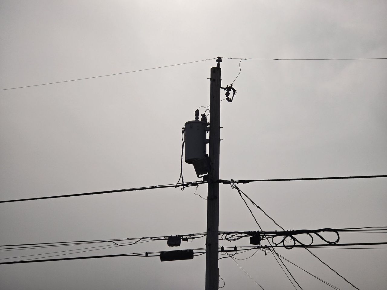 Samsung Galaxy S24 Ultra zoom sample.