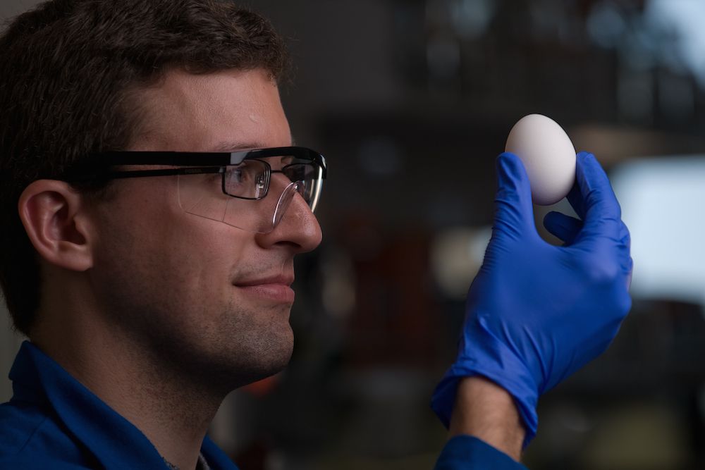 scientists holding egg