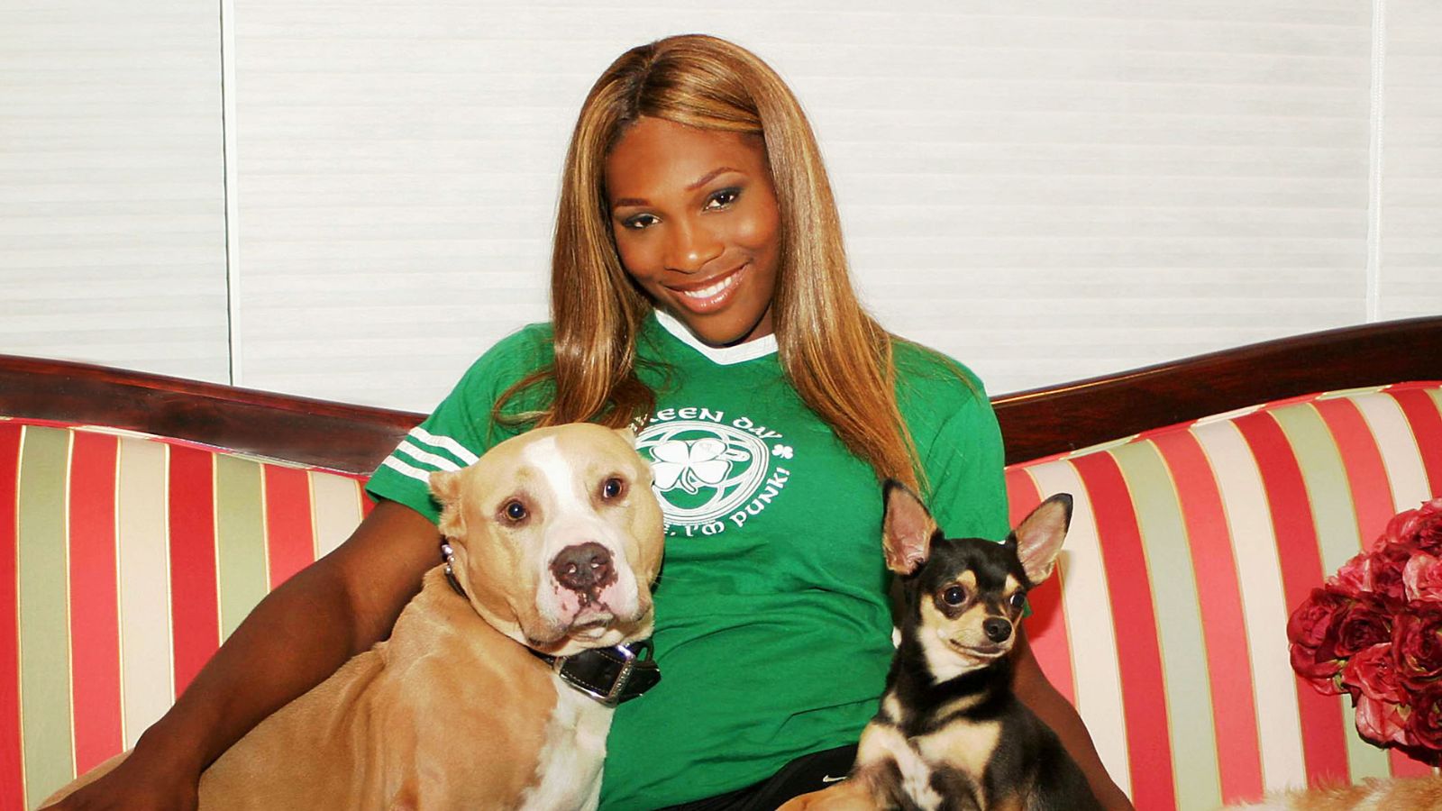 serena williams and her dogs on her striped sofa