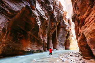 A man wades through the Virgin River in Zion Canyon's The Narrows at Zion National Park in Utah