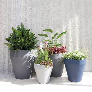 Four tall self-watering containers with various houseplants