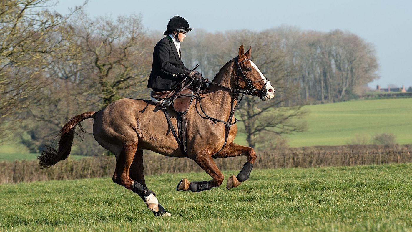 Kate-Hardt-Oakie.jpg