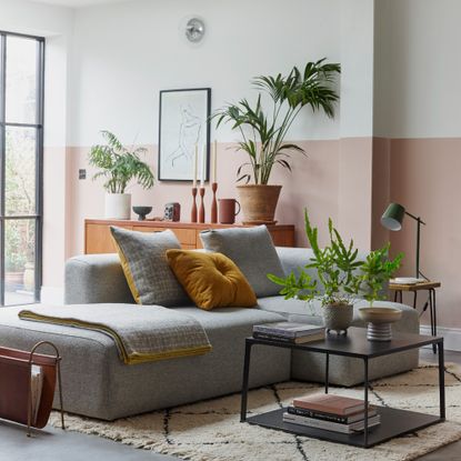 A living room with a sofa and houseplants