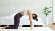 woman doing a cat-cow pose in leggings and crop top on a white rug in front of a bed. the walls and bedding are all white with a plant in the corner. 