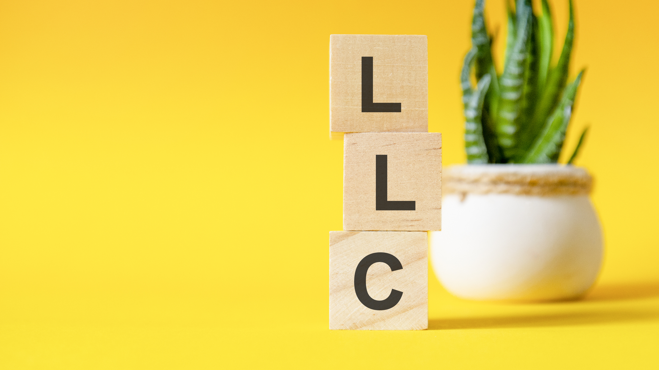 wooden blocks with the acronym &quot;LLC&quot; with a snake plant in the background and the color yellow