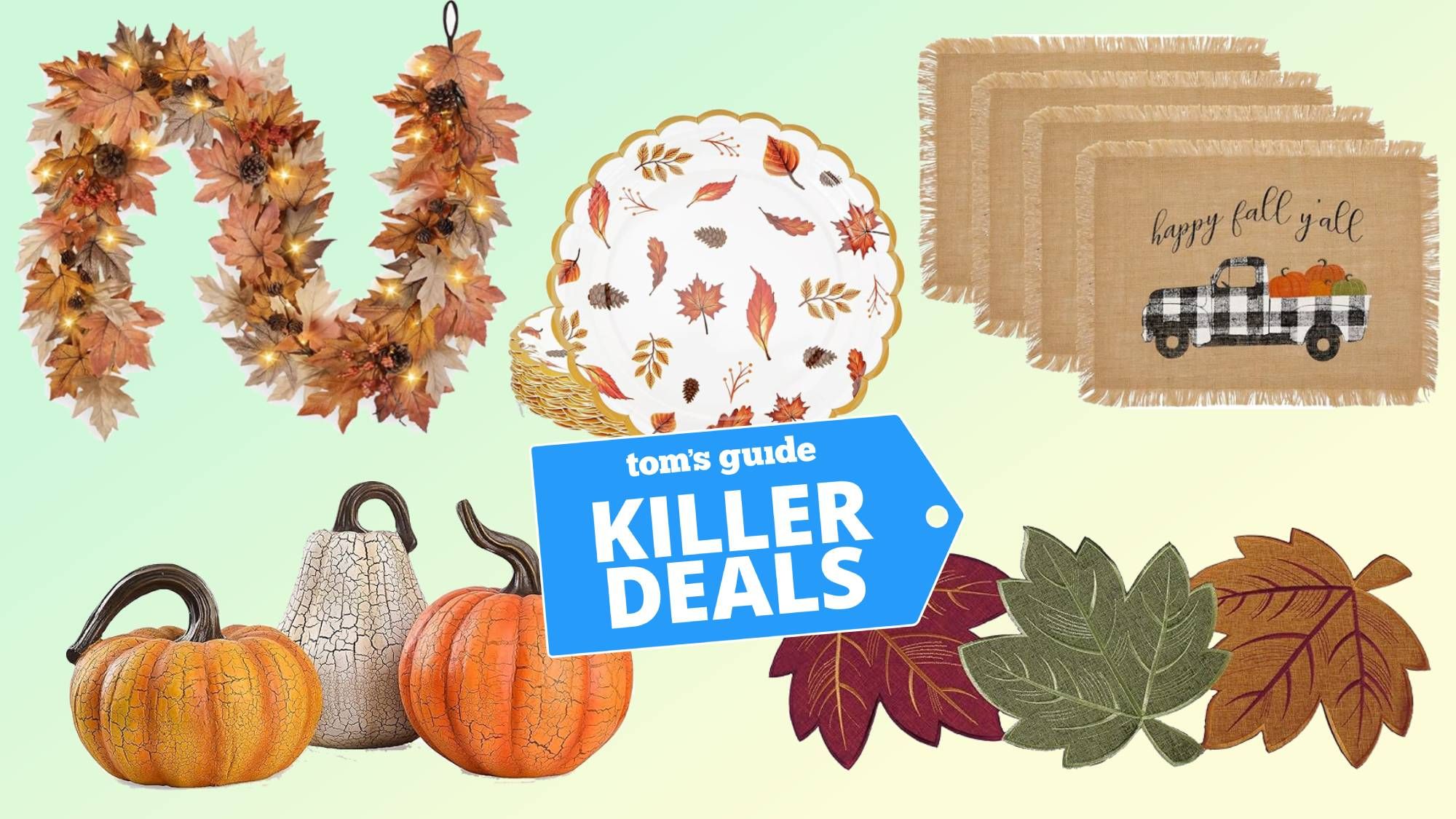 I found the best budget-friendly fall decor on Amazon — shop my 9 favorite deals under $25