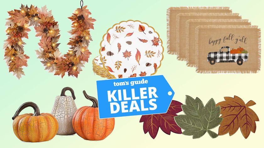 Fall Decor Deals