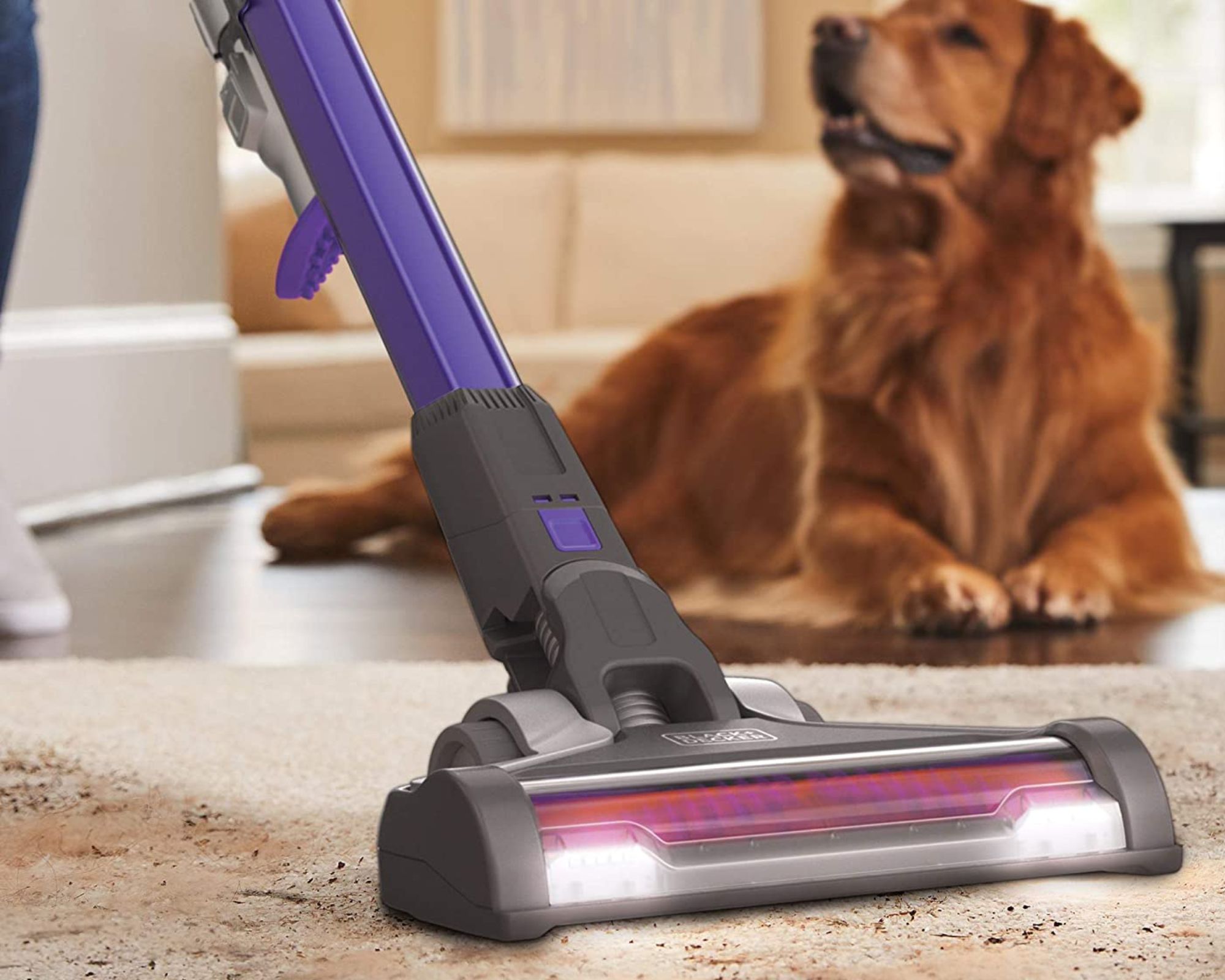 Best cordless vacuum from Black + Decker with dog behind