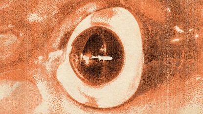 Photo collage of a giant squid's eye with a small fish swimming past it for scale