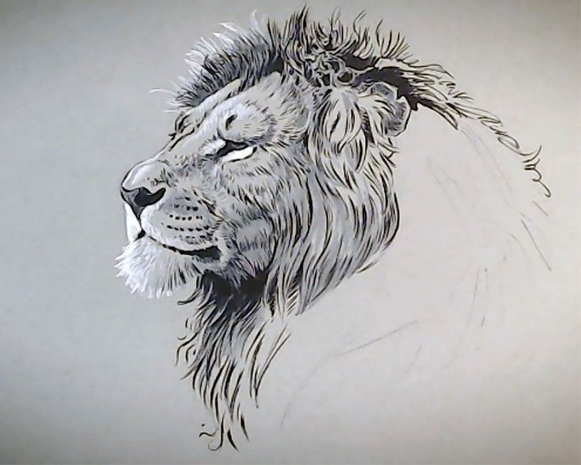 How to draw animals: 15 top tips | Creative Bloq