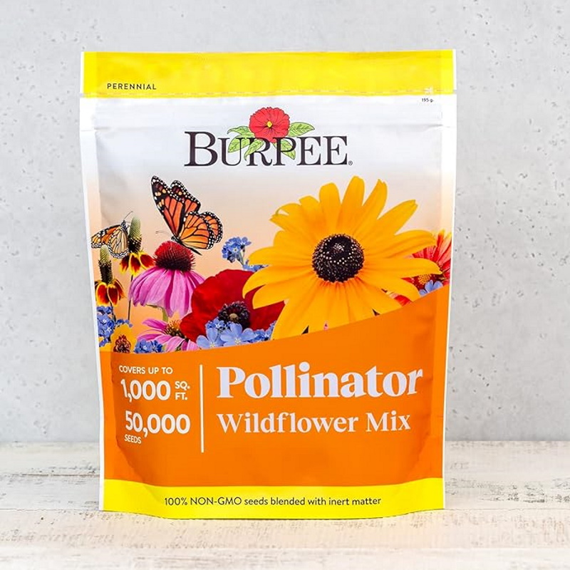 Amazon wildflower seed mix