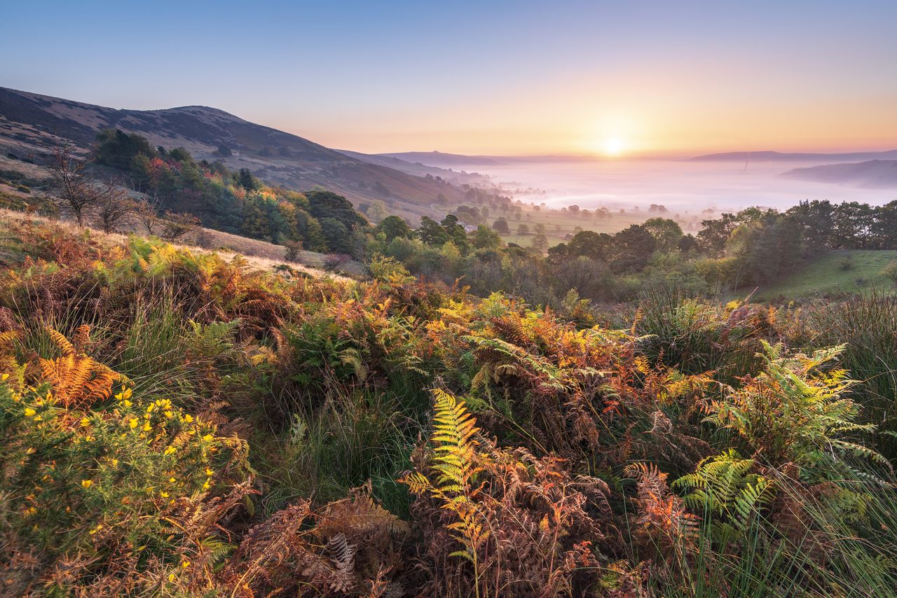 It&#039;s not hard to see the magic on days like these... Ferns glowing with the first light of the day in the English Peak District National park. Castleton, Hope valley.