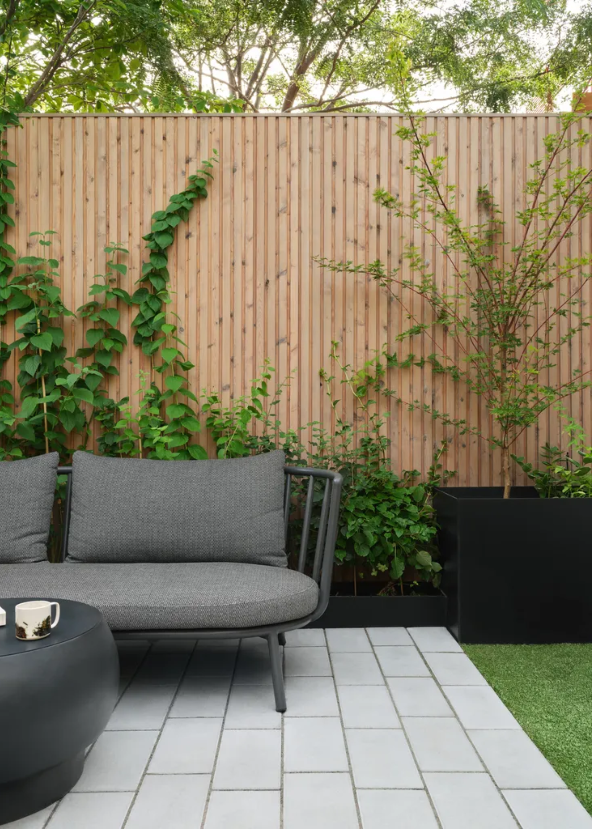 A backyard with a fence and trailing vines