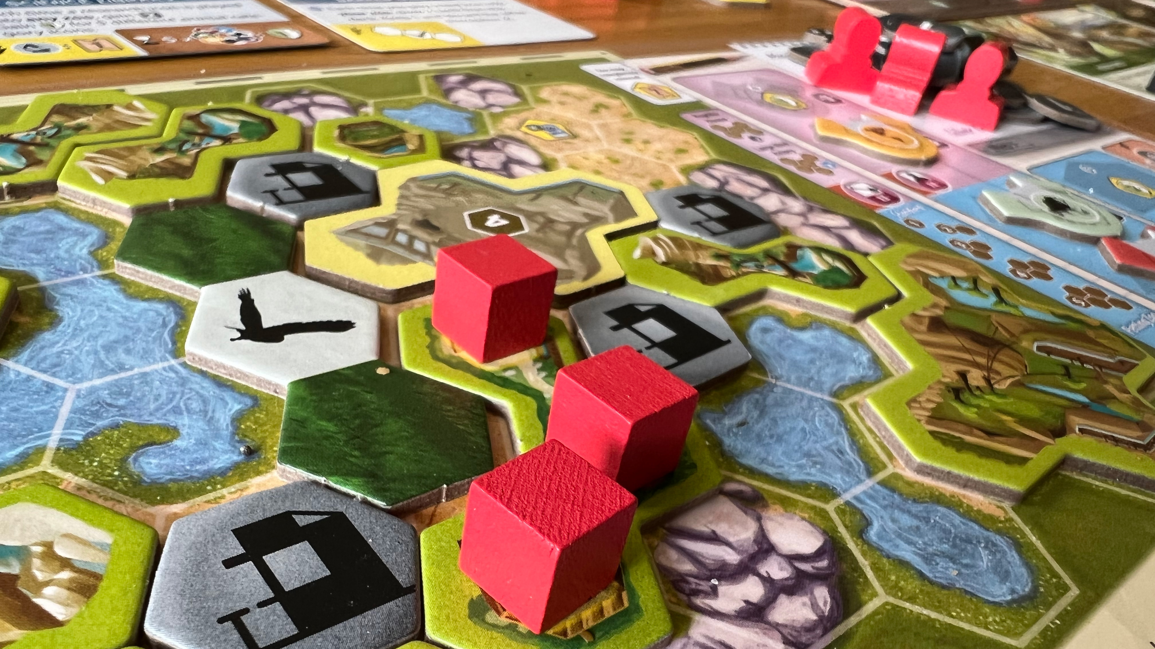 Ark Nova board game review whipsmart strategy with an enchanting
