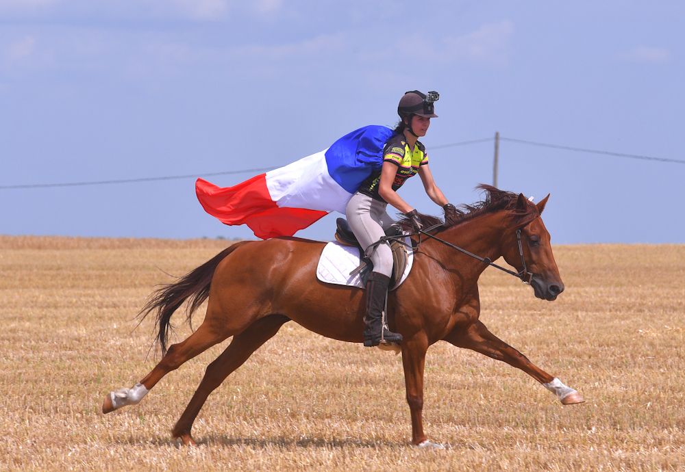 Flying the French flag for the equine fans
