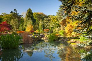 visit autumn gardens