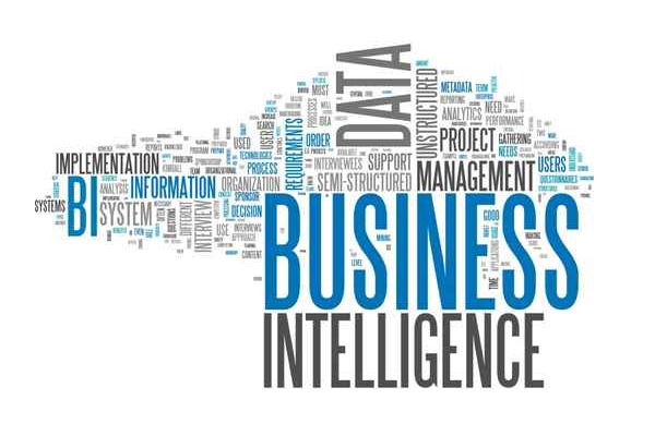 Business Intelligence