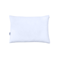 See the Original Casper Pillow from $65 at Casper