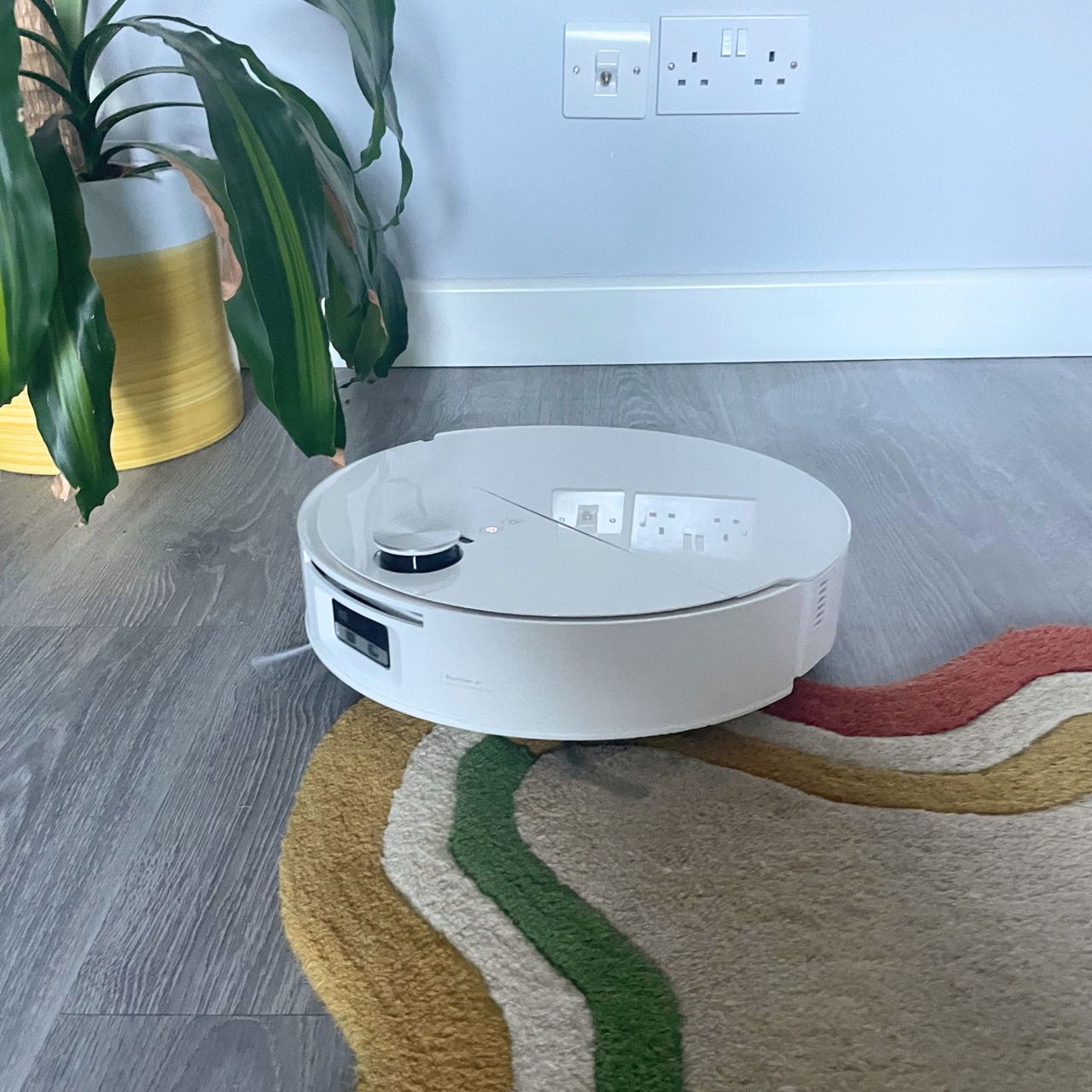 Roborock Qrevo Edge 2 Flow Robot Vacuum bot cleaning a colourful wiggle rug next to a plant in a yellow pot