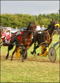 Harness_Racing.jpg