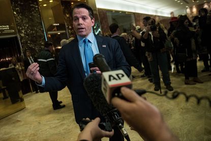 Anthony Scaramucci, soon-to-be White House communications director?