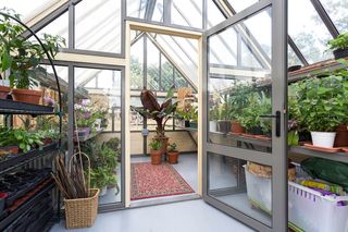 greenhouse used for growing plants