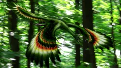 Post image 11