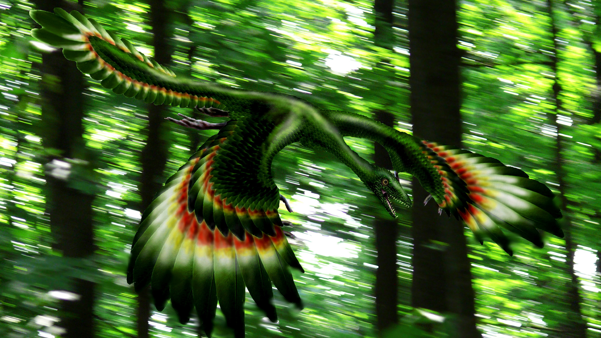 An illustration of a green flying dinosaur with feathered wings in a forest. 