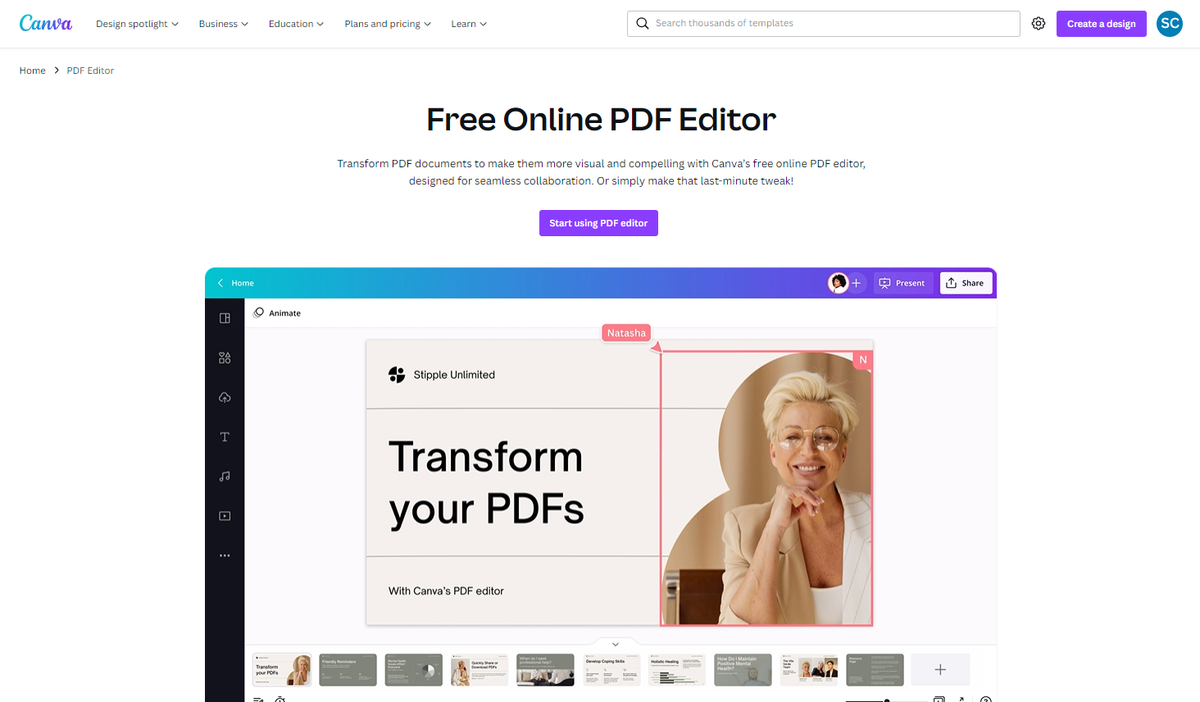 Screenshot of Canva PDF Editor