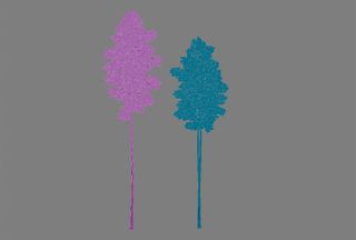 Two tree shapes on a grey background