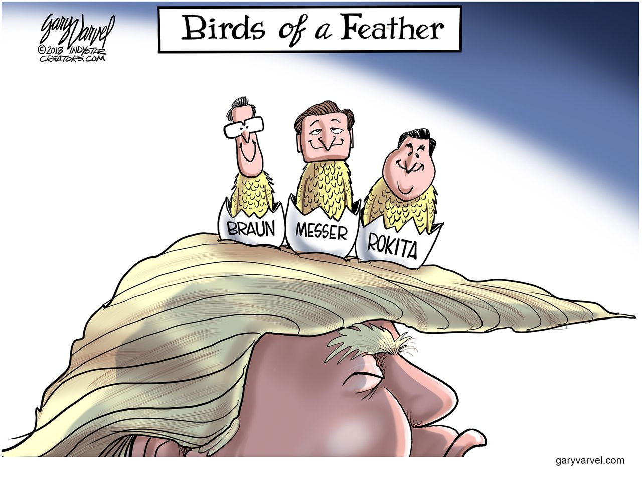 Political cartoon U.S. Trump Braun Messer Rokita Indiana GOP senate race