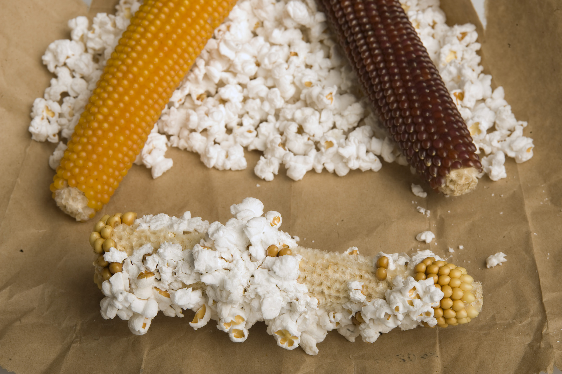 A photo of popcorn being popped on the cob