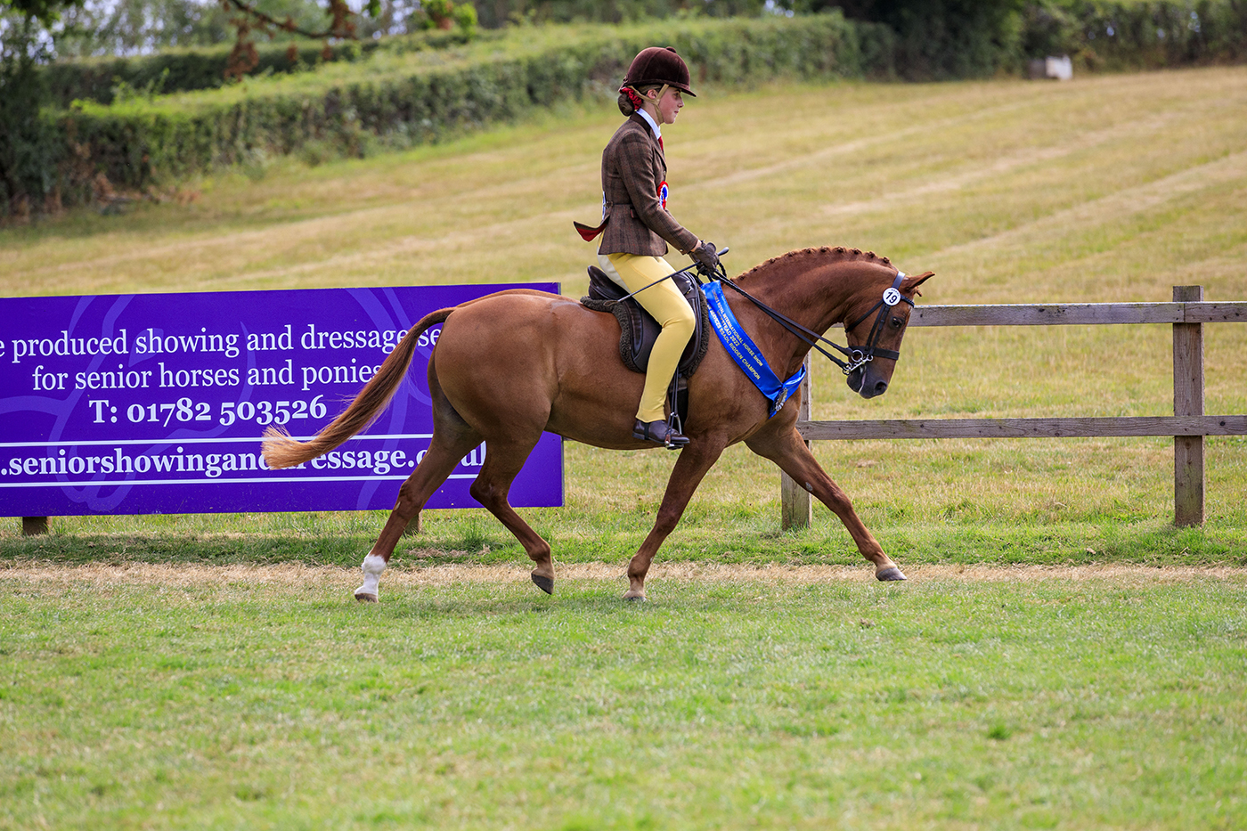 Hickstead Saturday 30th July