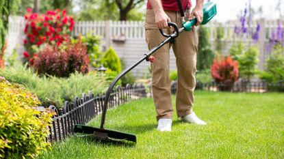 Grass trimmer next to lawn edging