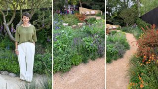 compilation of the Garden of recover Rhs Chelsea Flower Show highlights