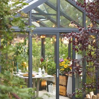 greenhouse with table area and festoon lighting