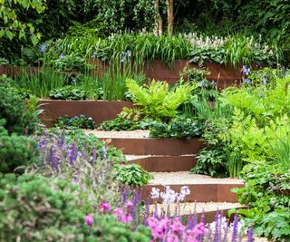 raised beds edged in metal sheets