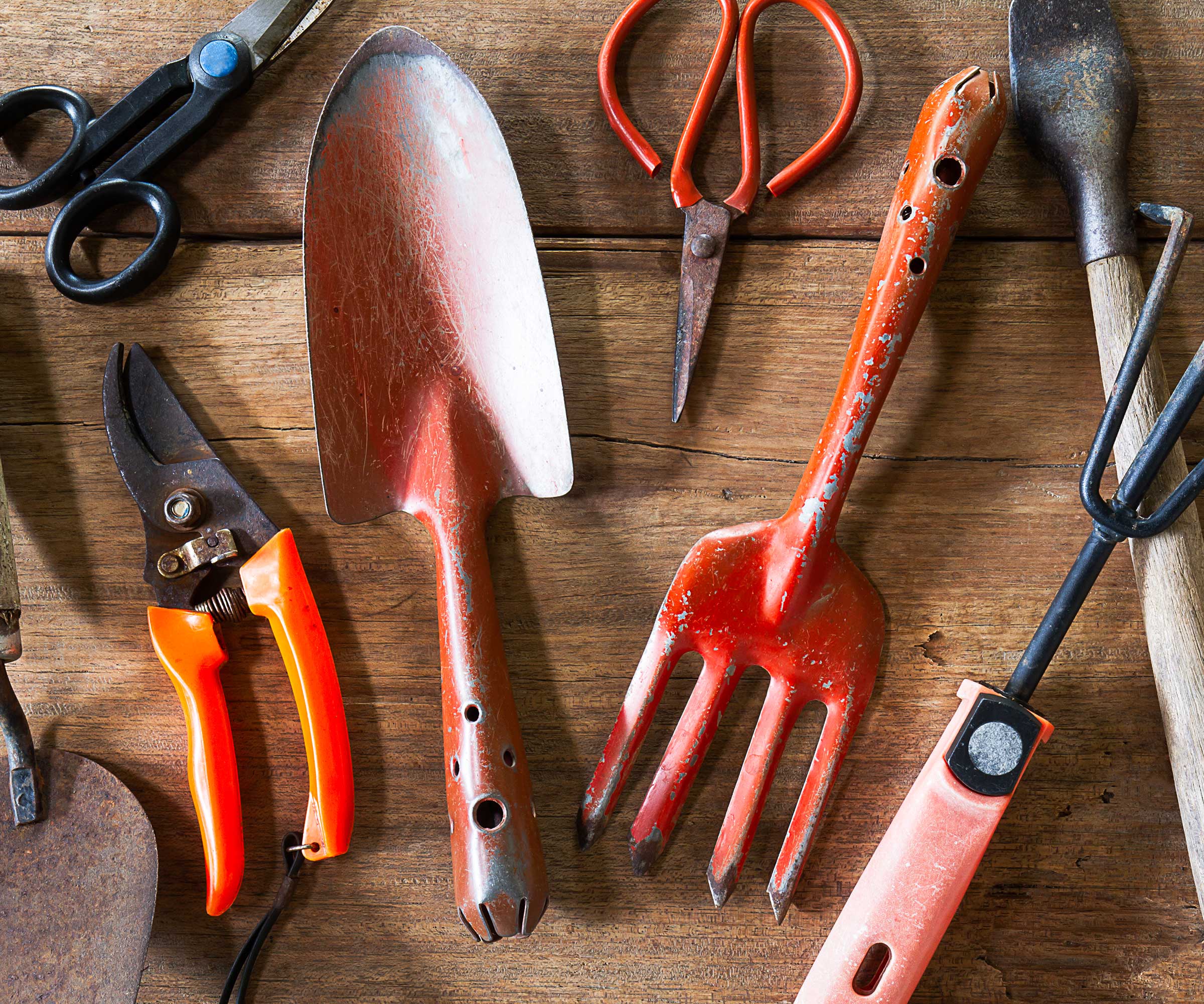 garden tools on wooden surface