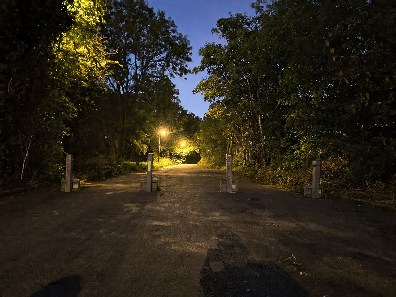 Moto Edge 50 Neo sample photos