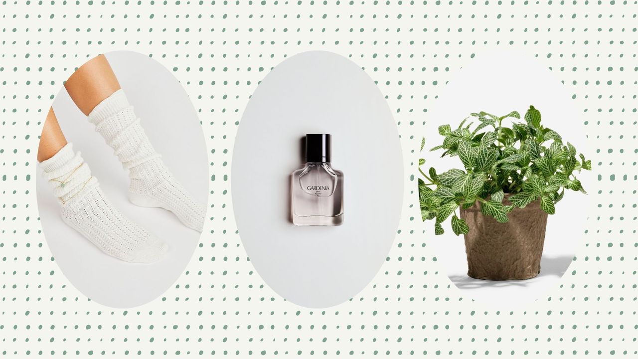 A comp image of the best cheap christmas gifts for woman&amp;home&#039;s guide. The gifts include a pair of cream knit socks, a Zara perfume and a fittonia white house plant