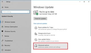 Windows 10 advanced options