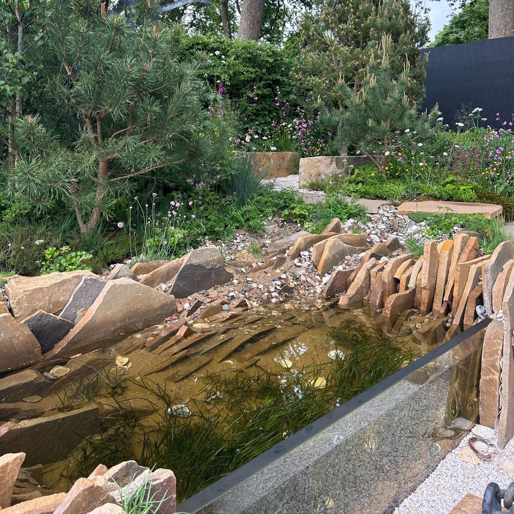 Seawilding Garden at the RHS Chelsea Flower Show 2025