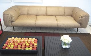 White wooden floor, cream leather sofa on metal feet, two black wooden coffee tables, large tray of apples on the left and square glass vase with flower on the right, brown and red stripe rug, white wall backdrop