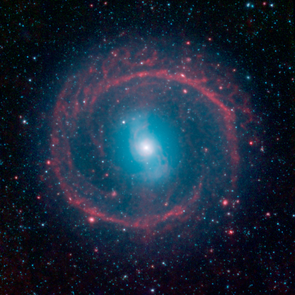 Ring of Stellar Fire