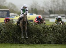 Pineau-De-Re-grand-national.jpg